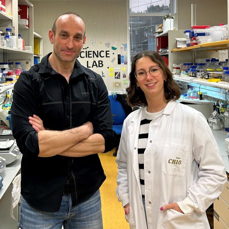 Descubierto un nuevo mecanismo de regeneración rápida del hígado que se activa con el glutamato descubierto un nuevo mecanismo de regeneracion rapida del higado que se activa con el glutamato descubierto un nuevo mecanismo de regeneracion rapida del higado que se activa con el glutamato 752x752 2